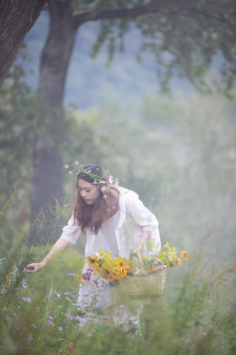 Faerie Spades