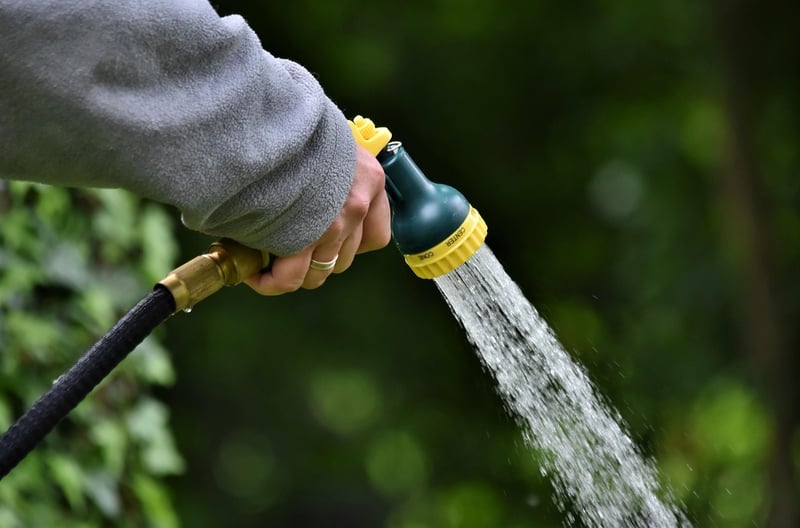 Witchy Watering Cans